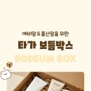 보듬몰