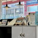 동해반점 이미지