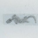 소바우공원 이미지