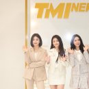 브레이브걸스 카카오 검색결과