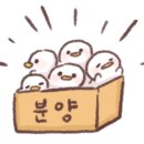 상업용 64 이미지