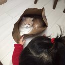 타이어컨츄리 이미지