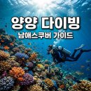 남애스쿠버리조트 양양 여행 필수 코스 강원도 다이빙 스팟