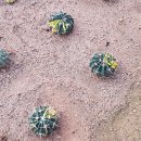 능파하우스 이미지