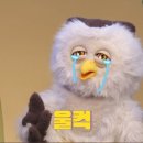 건설119 이미지