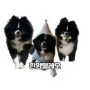 삼육사로25 이미지