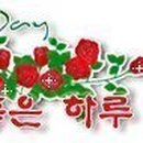 백조세탁 이미지