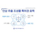 부여홍삼수삼