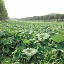 솔뫼민박 이미지