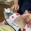 [부산헌혈] 헌혈의집 부전센터에서 전혈하기