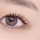 터치;브로우