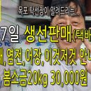 10월 7일, 국내산 봄소금, 젓담굴때, 염전, 어장, 조업, 기타 안내 입니다. 이미지