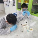소양중학교 | 물질 탐색부터 추출물 성분 분리를 통한 신약 개발 과정 이해! [제약공학자 / 1.3 전북완주군 소양중학교]