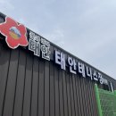 금남생활체육공원 테니스장 | 태안군 생활체육공원 테니스장 후기 (+예약방법, 위치, 운영시간, 코트 가격, 주차)