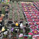 부자농약사 이미지