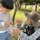 푸른동삭유치원 이미지