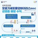 혹시 - 부산진구 성지곡로 33 | 혹시