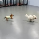 나랑놀개 이미지