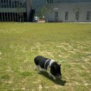 션샤인밀양(농촌테마공원) 이미지