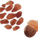 스테이 담아 이미지