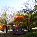 회문산자연휴양림 이미지