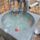 석남사 2호점 이미지