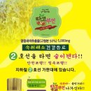 대박땅콩 이미지