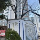 신정현대아파트(일반) 경로당 | 수지 아파트 추천｜신정8단지현대성우 입지와 시세 분석