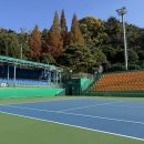 사파동160 이미지