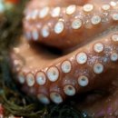 당당한의원 이미지