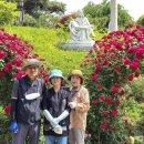 안드레아목장 이미지