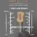 오아시스비엠 이미지