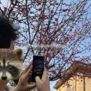 홍매뜨락협동조합 이미지