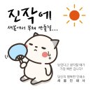 새봄인쇄사 이미지