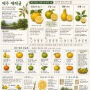 우리농산물 동부시장점 | 달콤한 열매의 오래된 가시