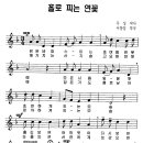 홀로피는 연꽃(우성 작사 / 서창업 작곡) 이미지