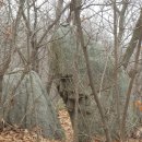 대야리(대실) | 한남금북정맥 02구간 마이산(馬耳山 473.5) 210306