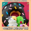 북앤도넛카페물댄동산 | 강화도 카페 북앤도넛 물댄동산 아이랑 가기 좋은 카페