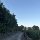 진서2농장 이미지