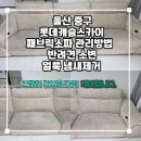강북로 | 울산소파청소 전문 업체 패브릭쇼파 4가지 관리방법 냄새얼룩제거후기