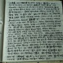 동루골 다원