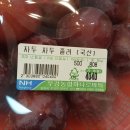 도피성 백문백답(밥신 거 훔침)