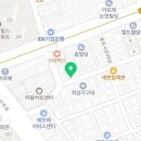 강남 요미독앤캣 강아지 분양 고양이 분양 이미지