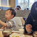 [개포1] 아빠요리교실 | [똥준수일지] 20개월 아기발달 /응아 표현, 아버지라고 부르기, 소유 표현, 고집 세짐, 아빠 집착