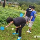 상운초등학교 영남타임즈