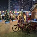 탄생축제 | 2025 부산 해운대 빛축제ㅣ야경 보고온 후기(포토존, 주차, 점등시간)