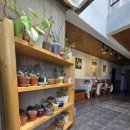 거기벵디 이미지