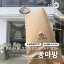 수원-1921 | 행궁동 빵맛집 루스틱으로 유명한 빵마망 수원 초코바게트 내돈내산 얼그레이 루스틱 먹어야 함 내돈내산