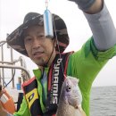 독배로 이미지