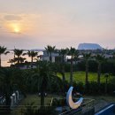 백사카서비스 | 3박4일 제주도여행 2일차｜우도 유채꽃 여행, 별방진, 육성가 🌼